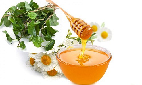 Tác dụng của rau diếp cá trị mụn với da mặt giúp sạch da sáng bóng