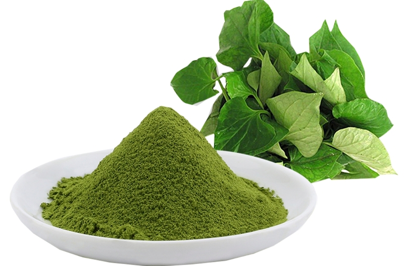 hinh-anh-tri-mun-trung-ca-bang-rau-diep-ca-10
