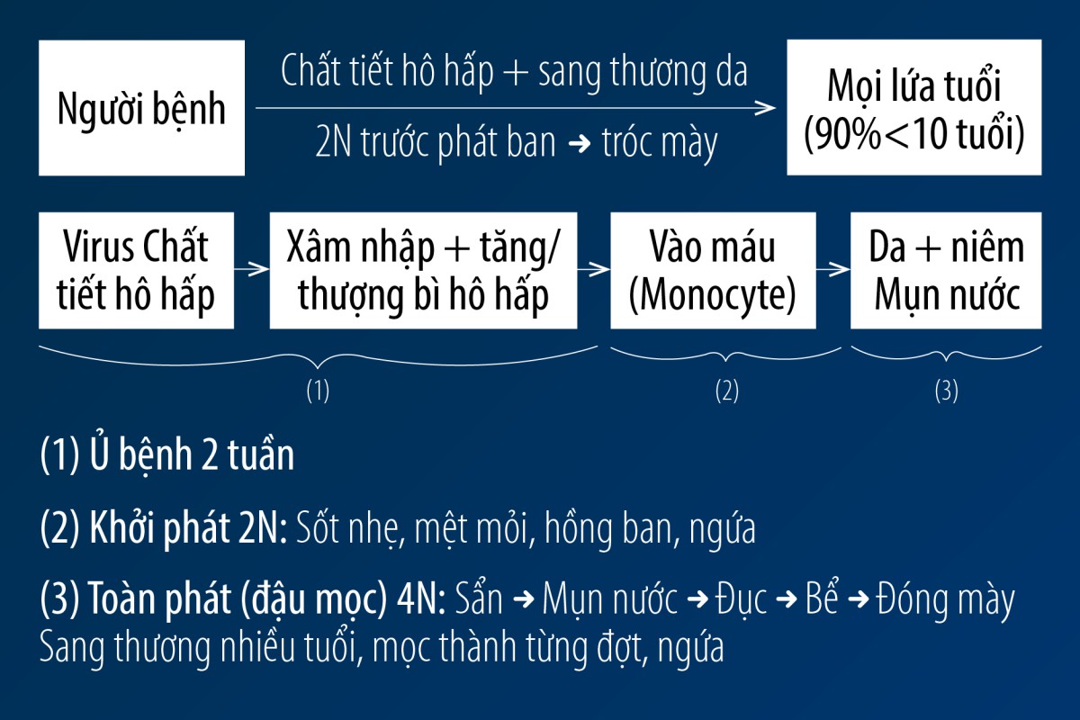 Bệnh thủy đậu ở người lớn là gì? Dấu hiệu và cách chữa trị