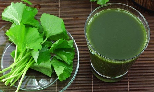 Tác dụng của rau diếp cá trị mụn với da mặt giúp sạch da sáng bóng