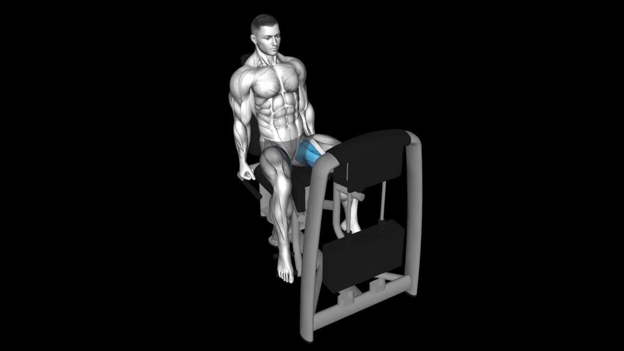 Hip Adduction Machine – How To Video, Alternatives & More