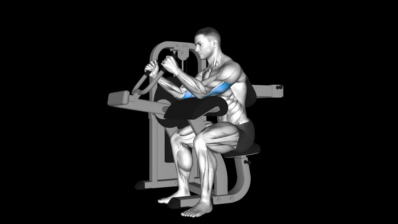 Lying Tricep Extension How To Video, Alternatives & More
