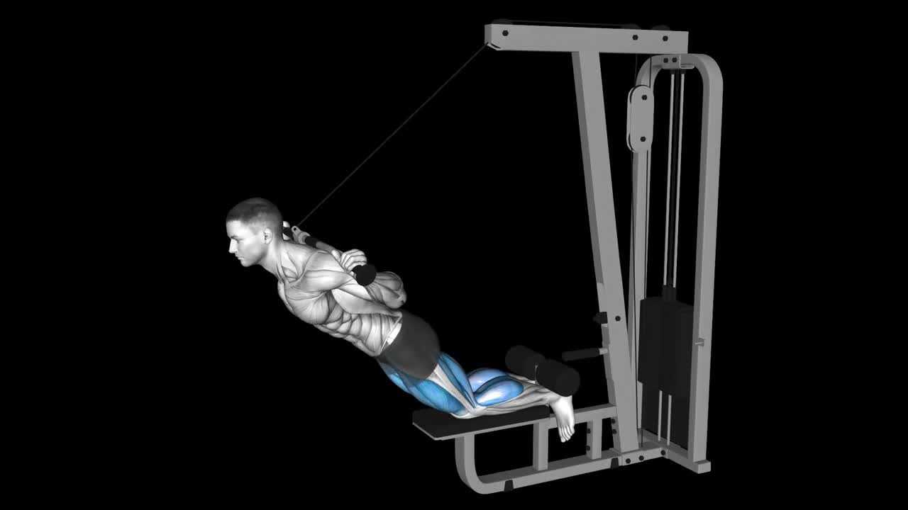 Seated Leg Curl Machine How To Video, Alternatives & More