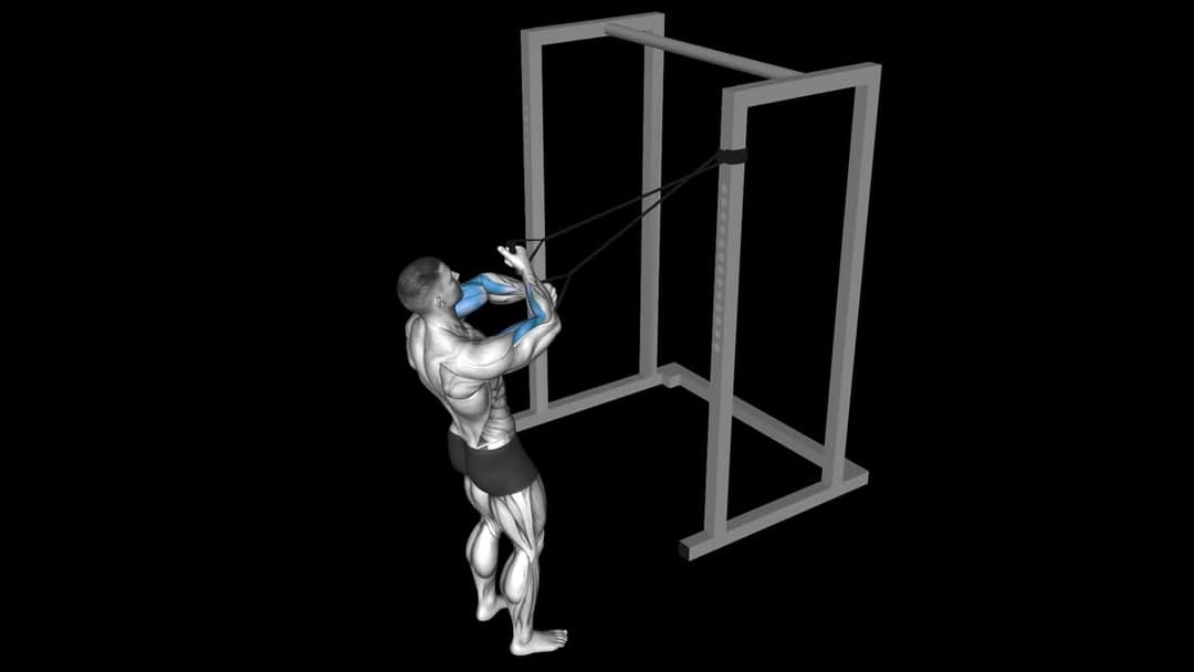 Cross Body Hammer Curl How To Video, Alternatives & More