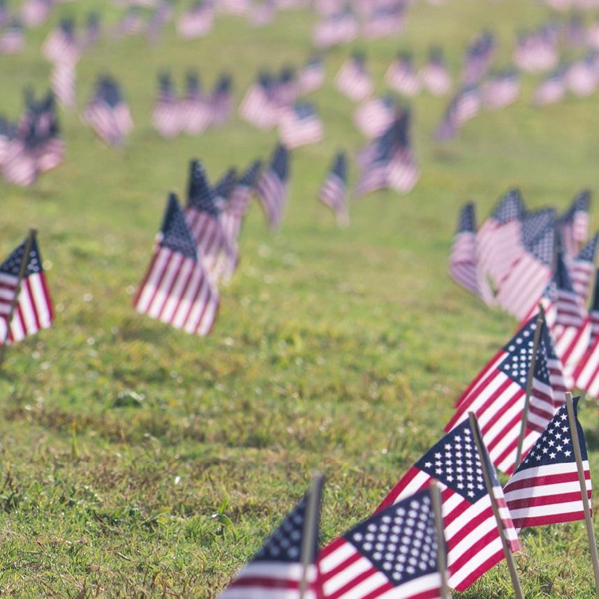 Yard with hundreds of little american flags stuck in the ground