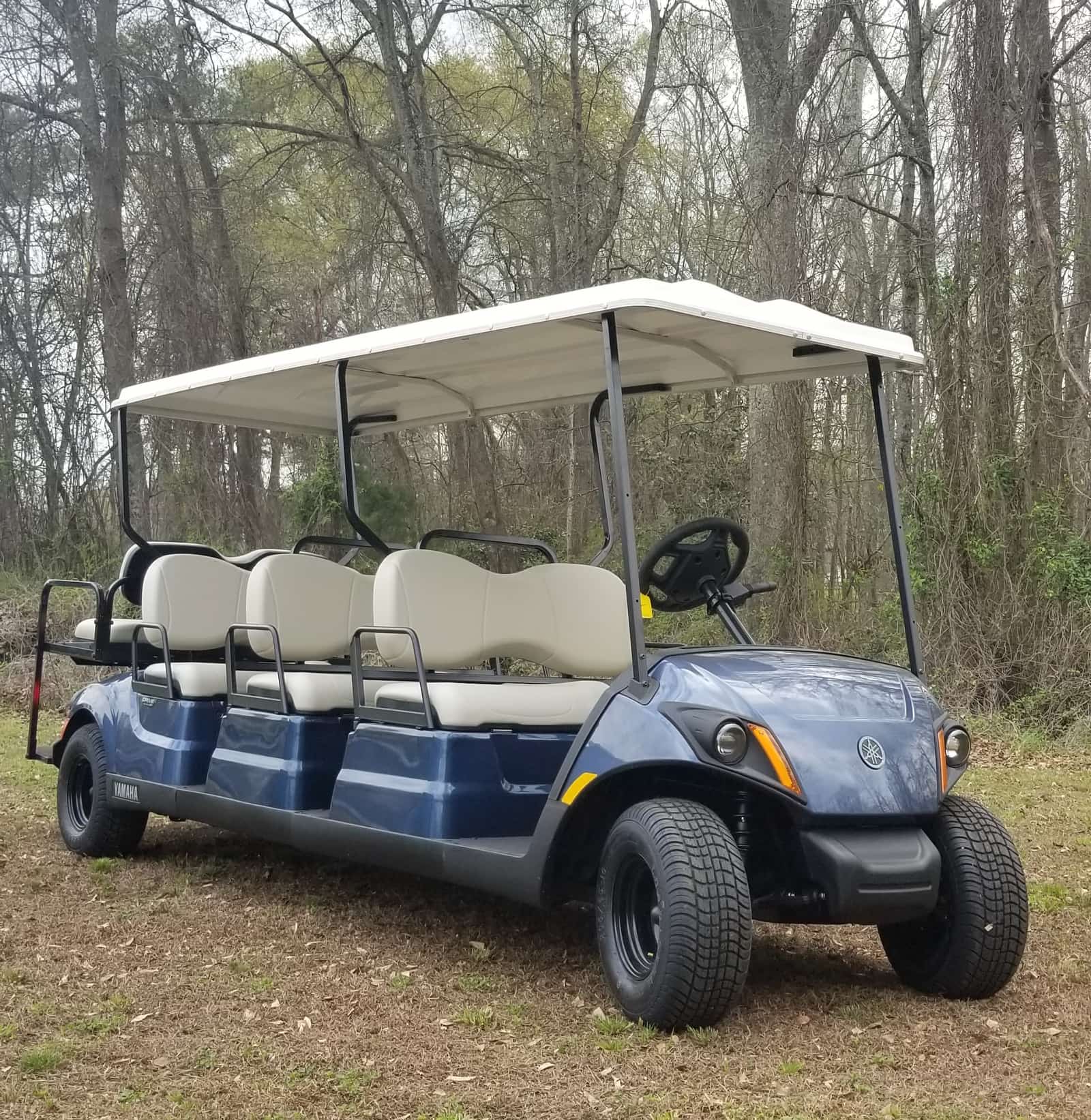 **SOLD***2020 YAMAHA Concierge 6 Passenger Bluestone