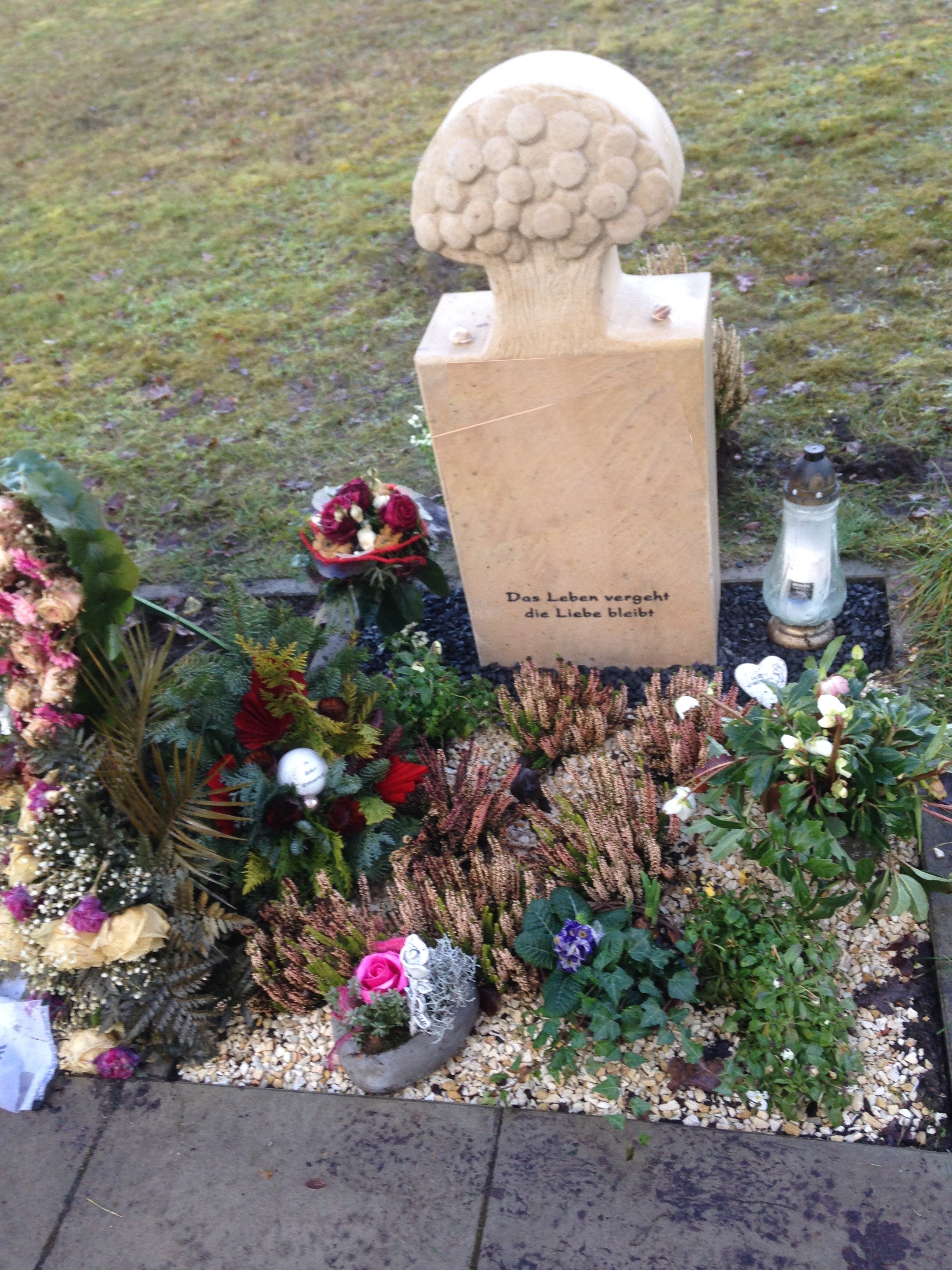 Lebensbaum Sandstein Baum Steinmetz Messerschmidt
