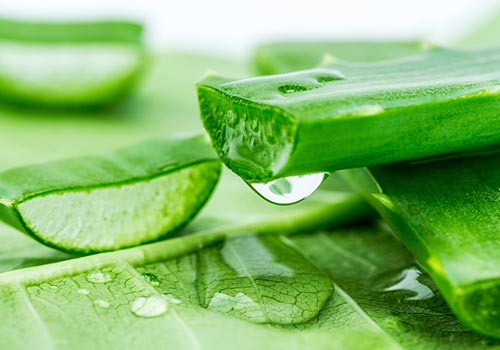 Cách điều trị sưng bao quy đầu tại nhà hiệu quả