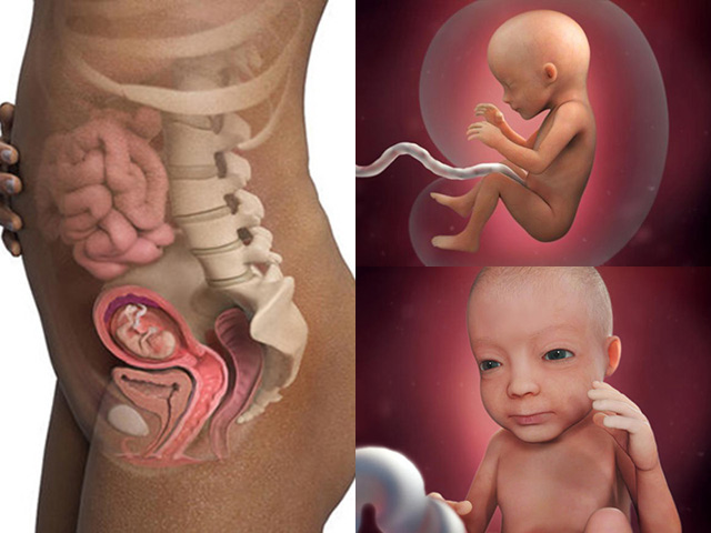 Chi phí siêu âm 3D hết bao nhiêu tiền