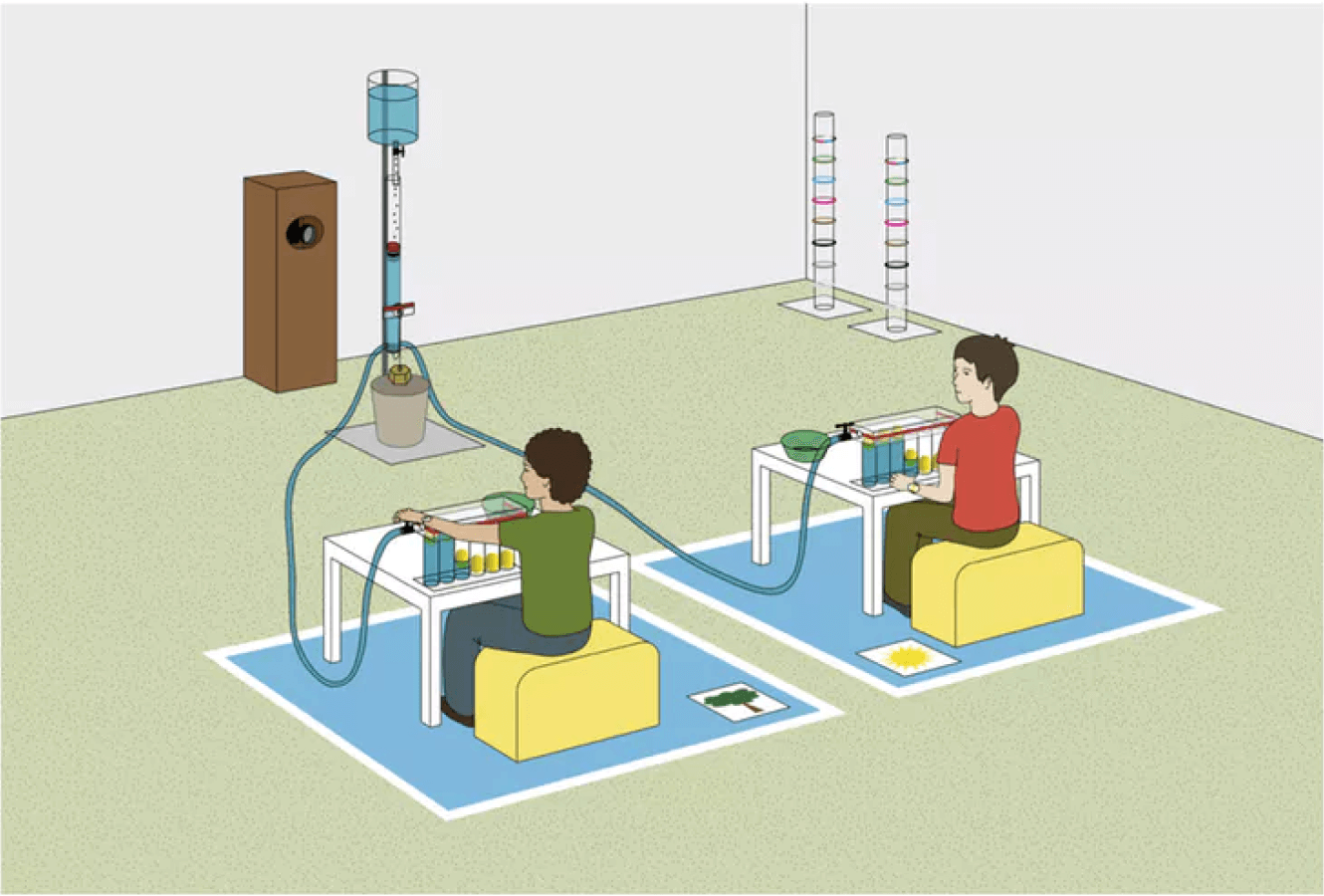 5c97c3aede94e83a5d0370e9_5b55a284c7aaf2c55896b3a7_children-environment.png