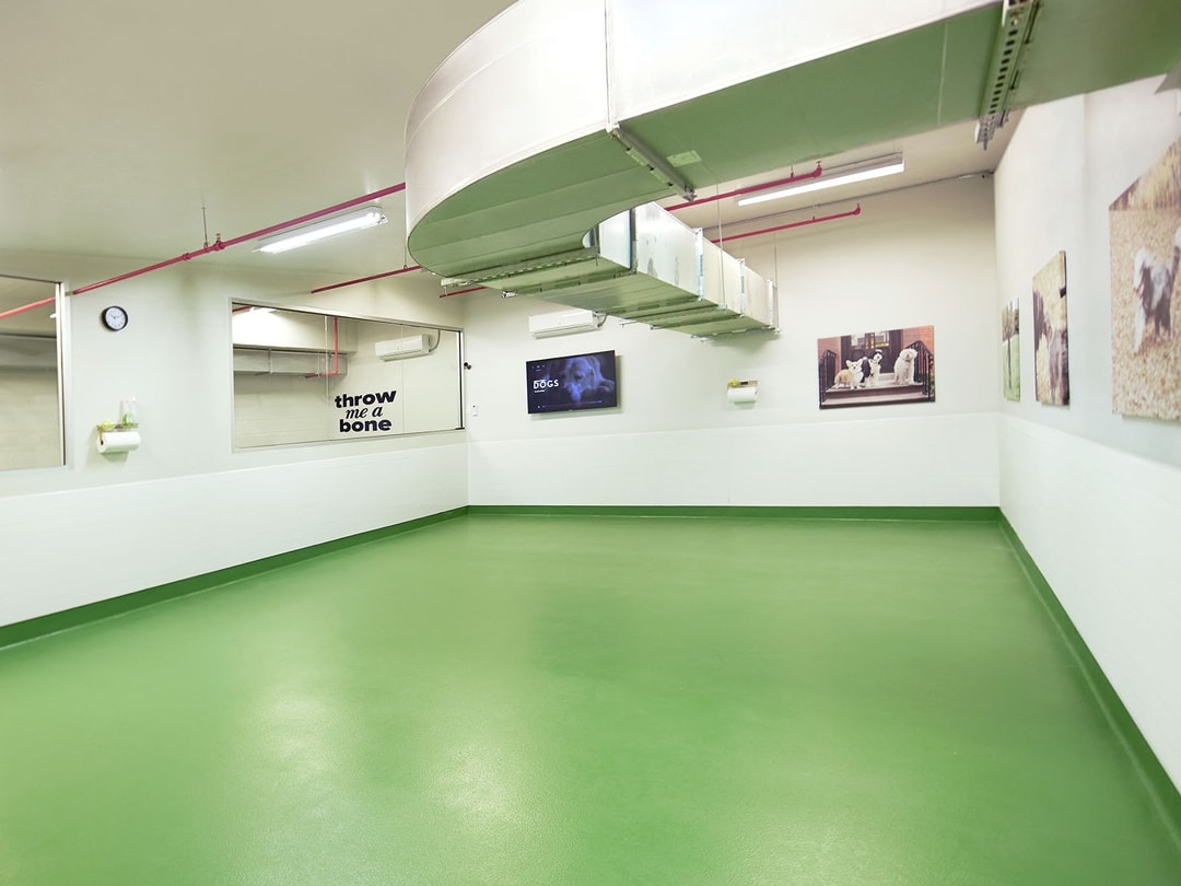 Throw Me A Bone Locations