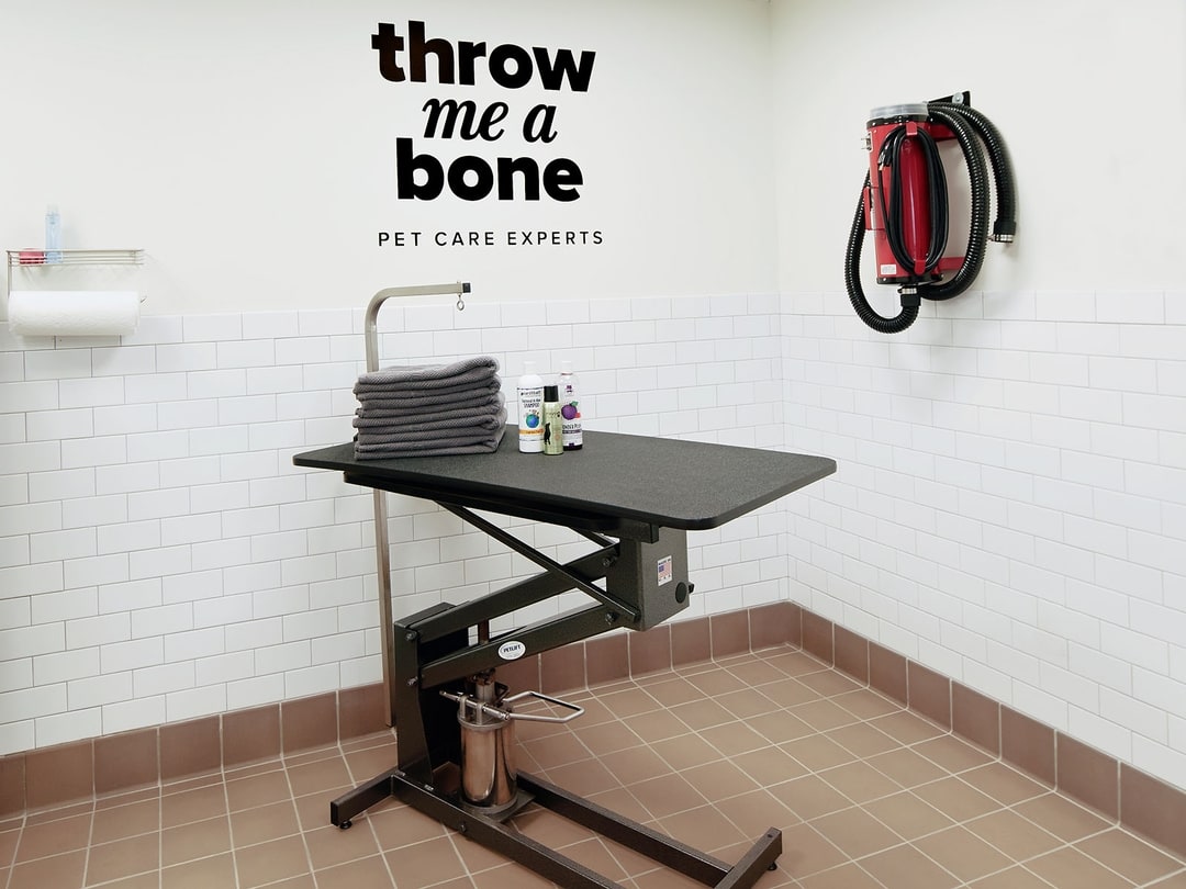 Throw Me A Bone Locations