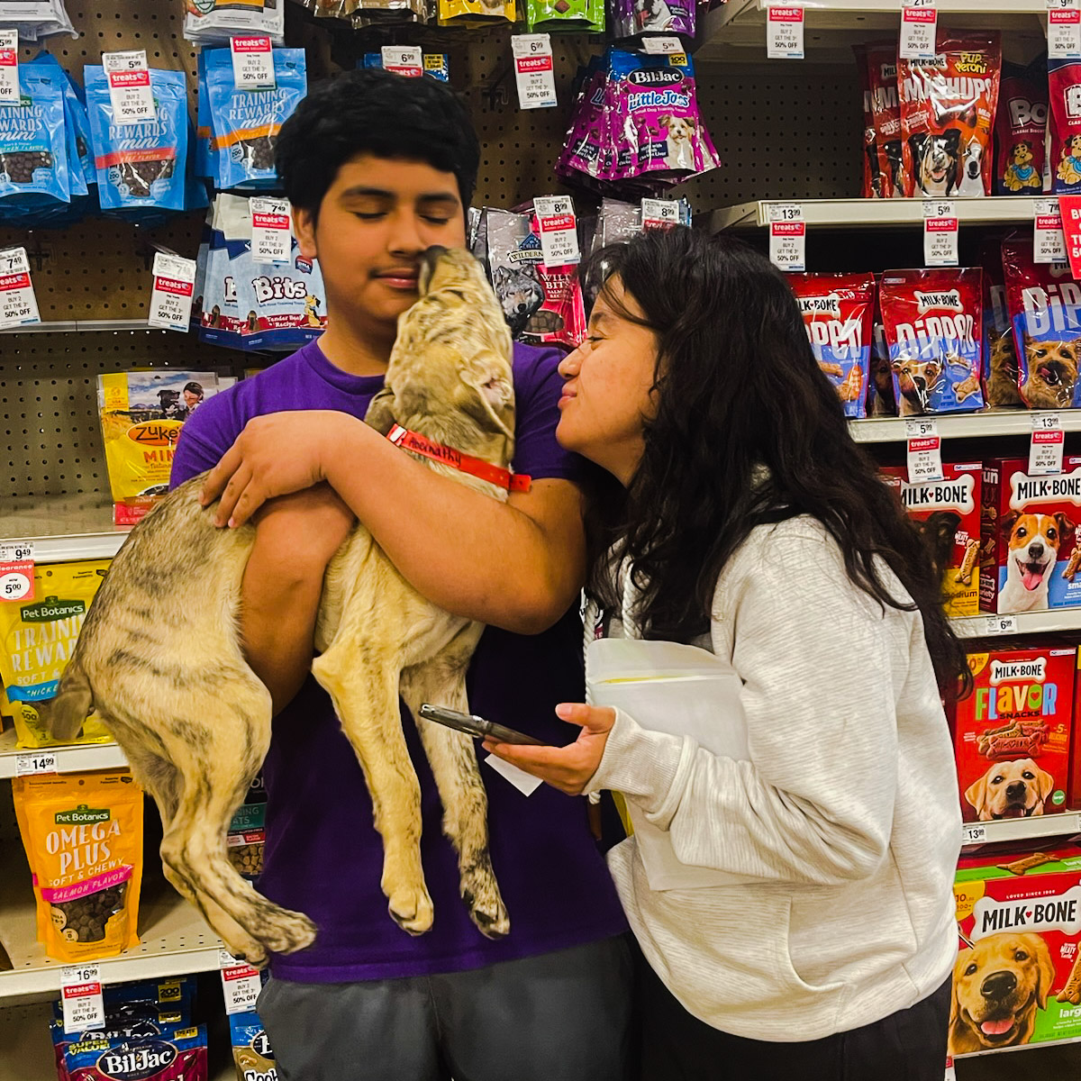 Crossing Paths Animal Rescue Crossing Paths Animal Rescue with