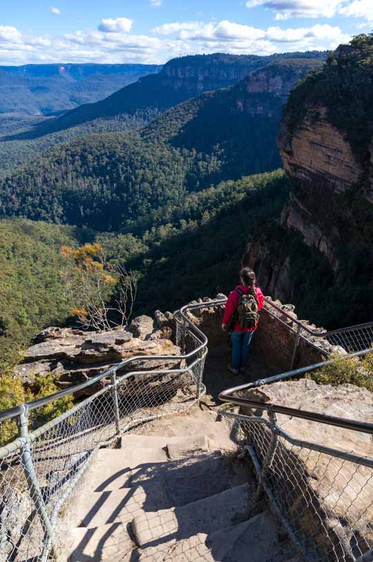 Bushwalking In Blue Mountains NSW