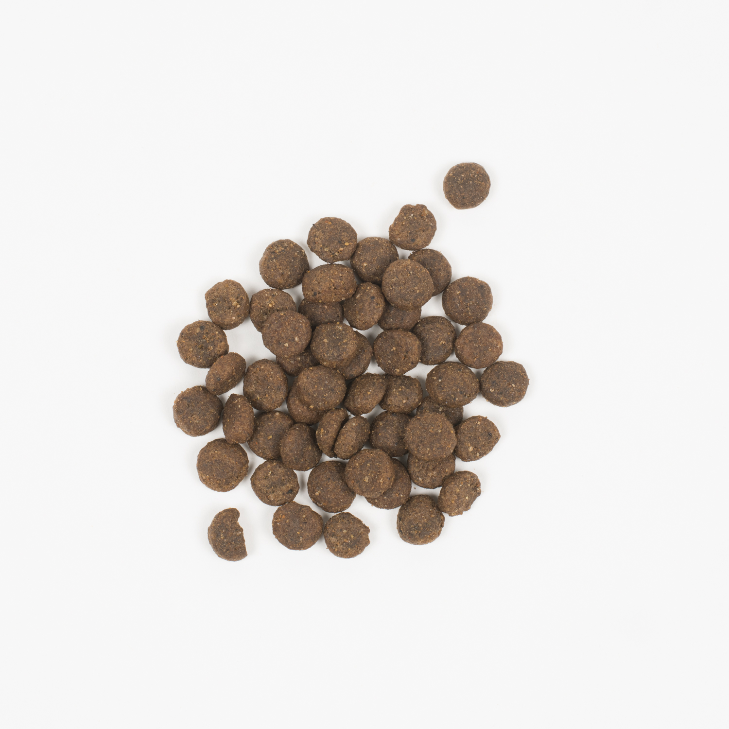 Croquettes pour chat aux insectes