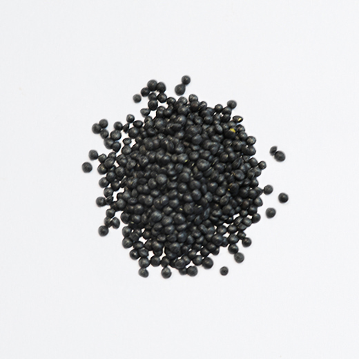 Lentilles beluga