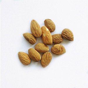 Amandes salées
