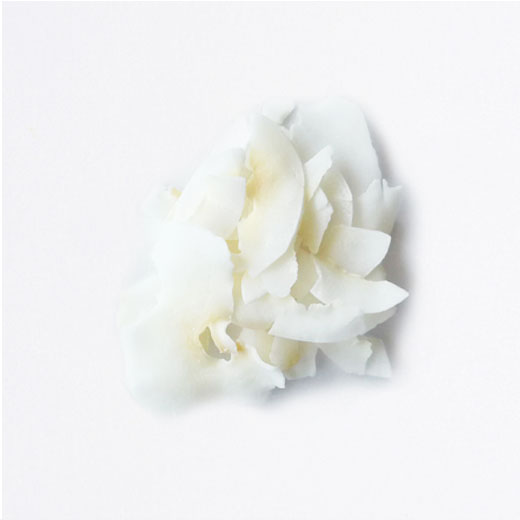 Chips noix de coco