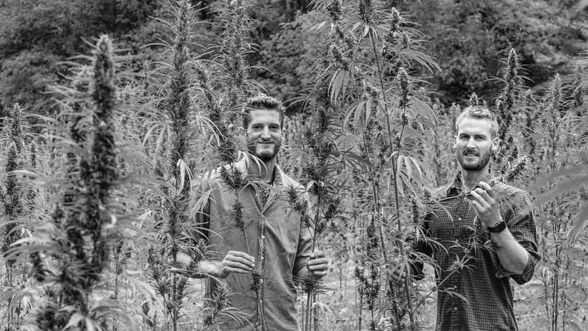 La ferme médicale producteur bio français L'intendance