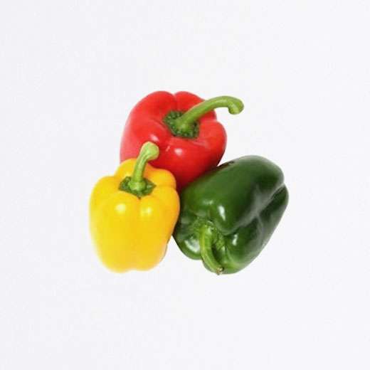 Trio de poivrons bio