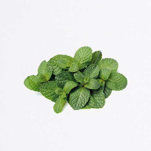 Menthe bio