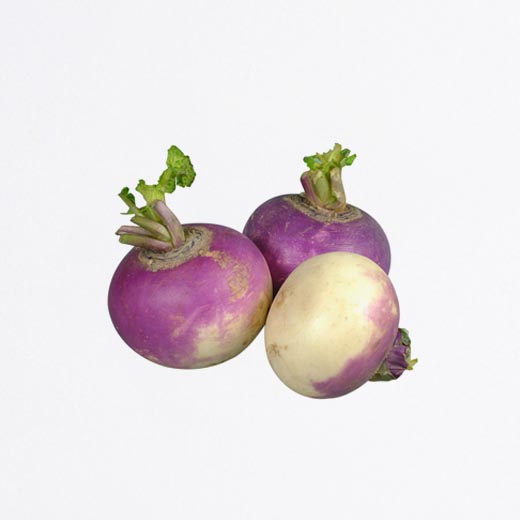 Navet bio