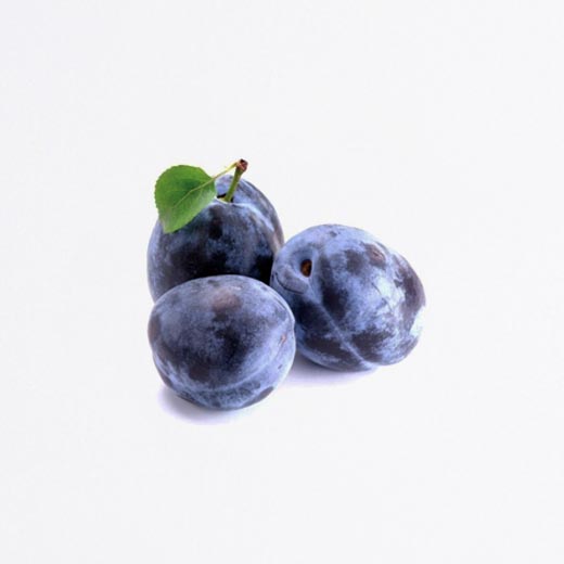 Prunes bio