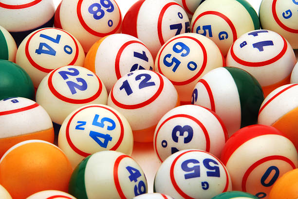 BINGO! Nights