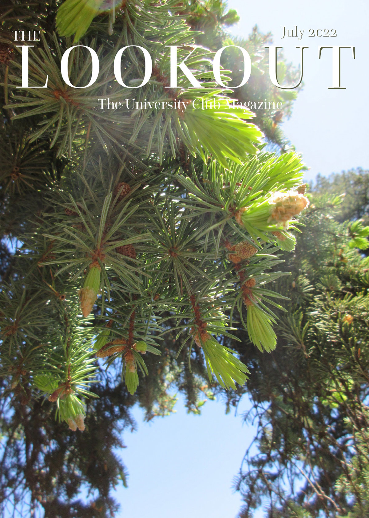 The Lookout issue