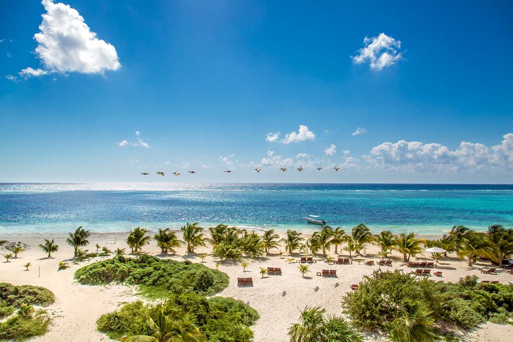 Chable Maroma - Book with free breakfast, hotel credit, VIP status and more