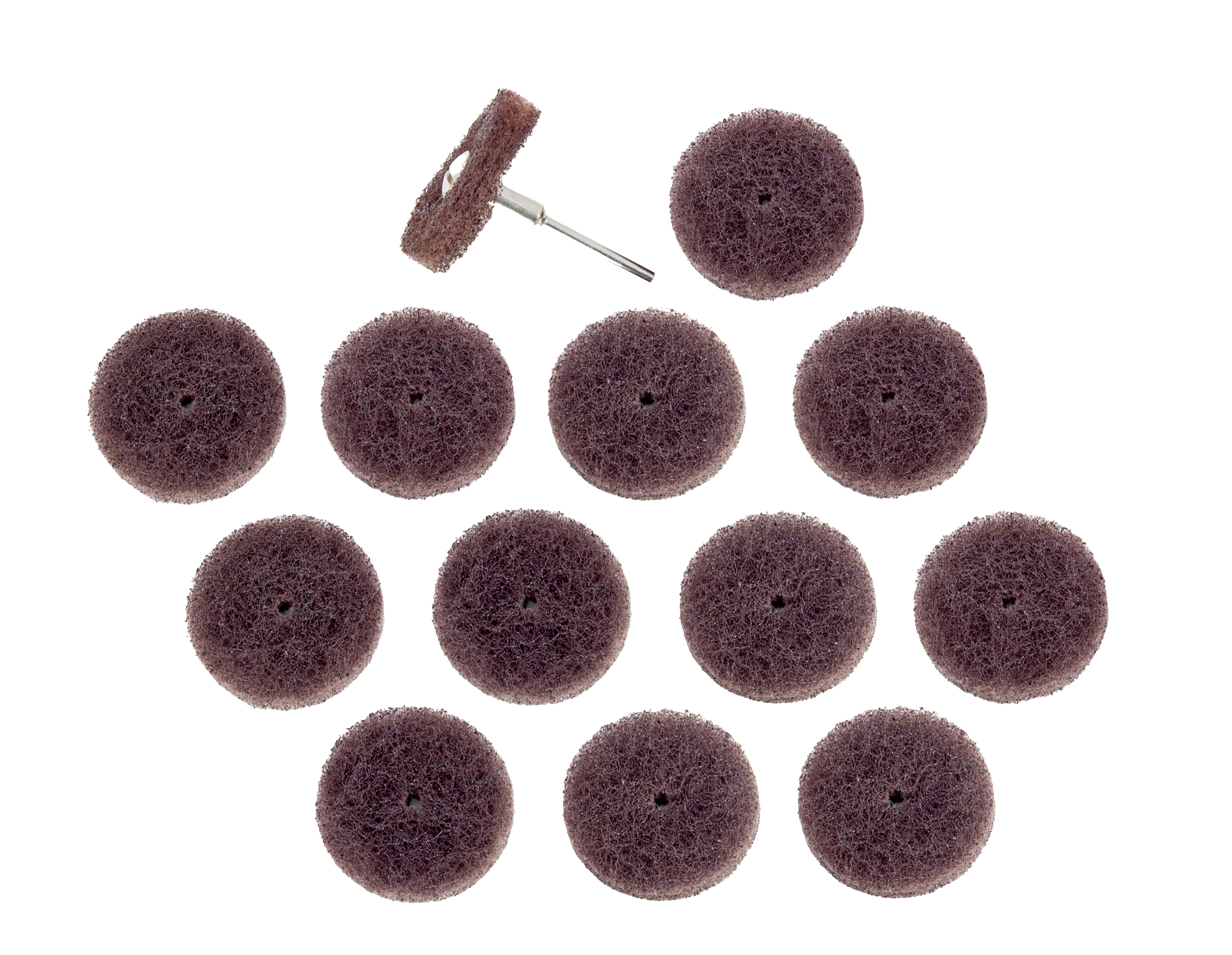BLADECLEAN CPR Disc Set