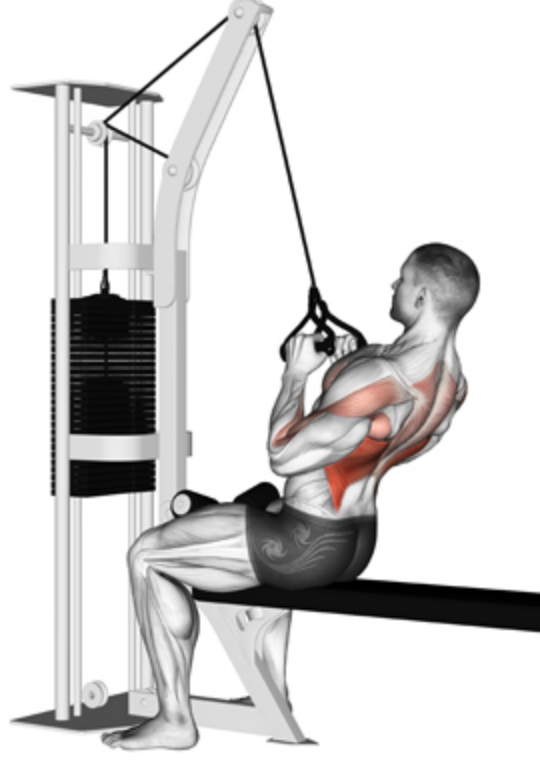 Close Grip Lat Pulldown 101 Form Benefits And Variations 