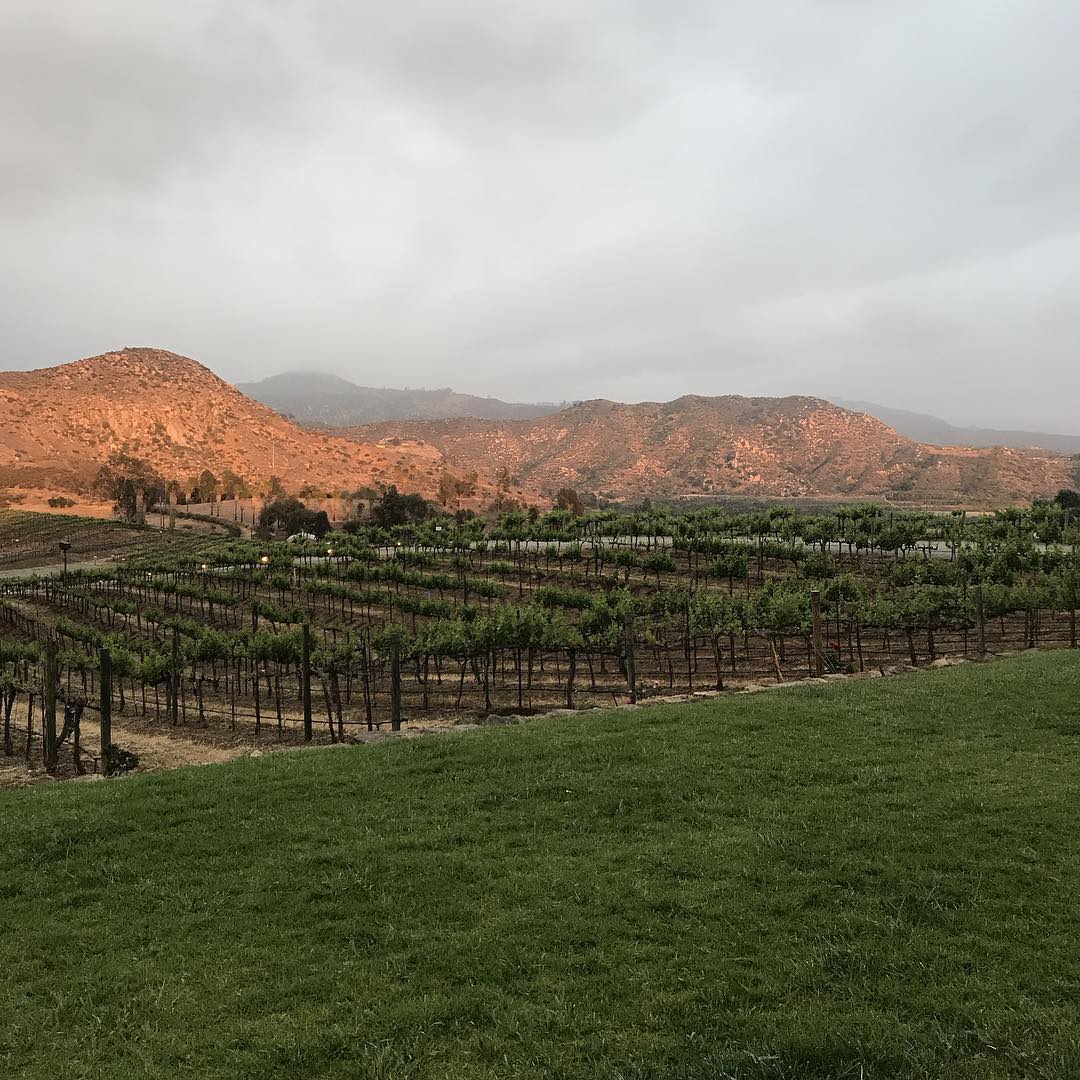 Orfila Vineyards & Winery