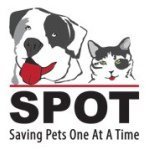 Saving Pets One at a Time