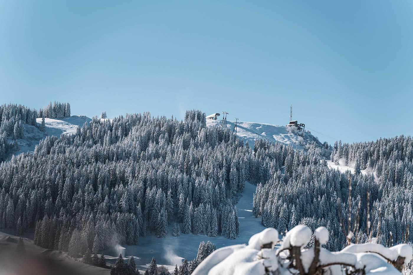 A snowy landscape with treesDescription automatically generated with low confidence
