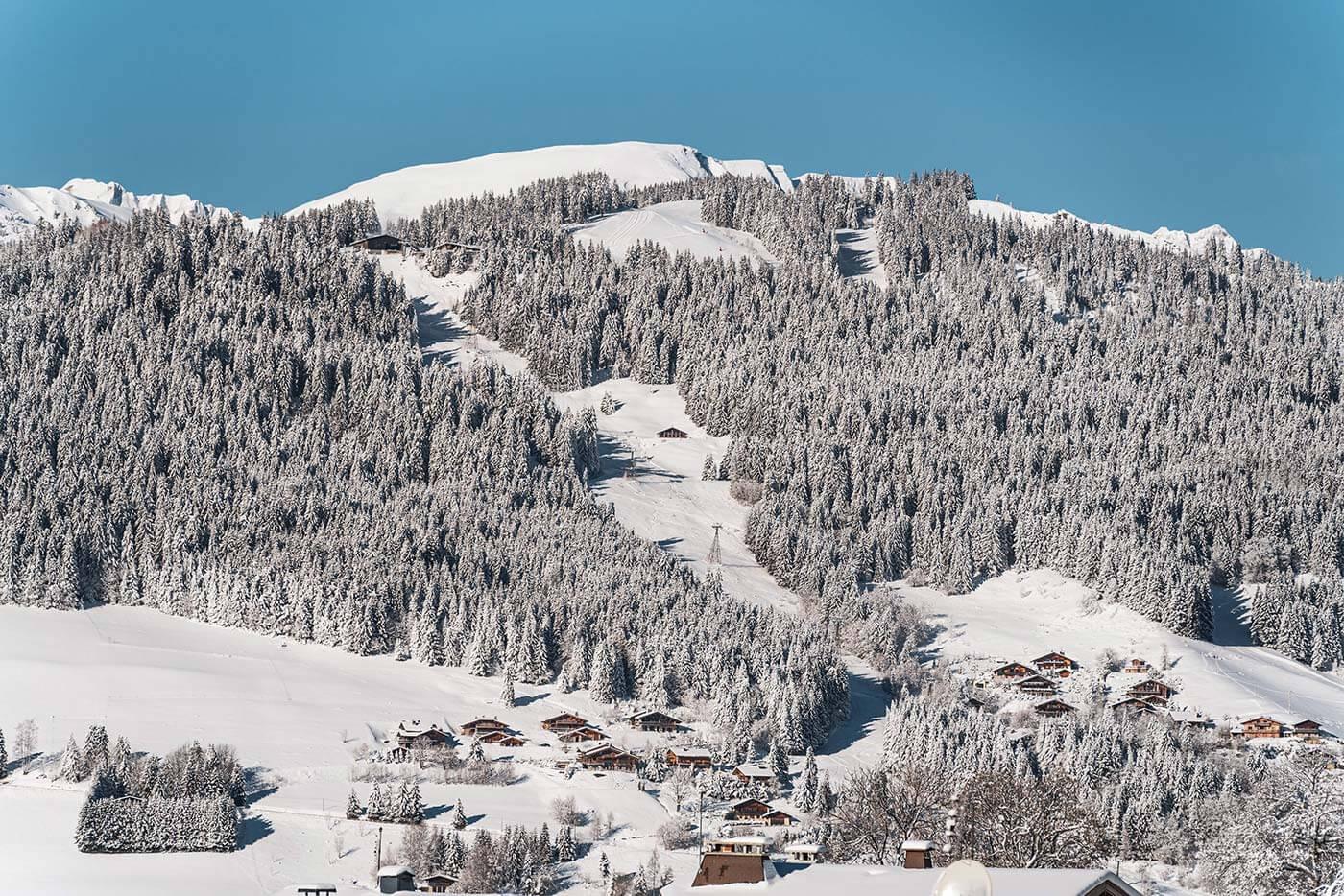 A snowy landscape with trees and housesDescription automatically generated with low confidence