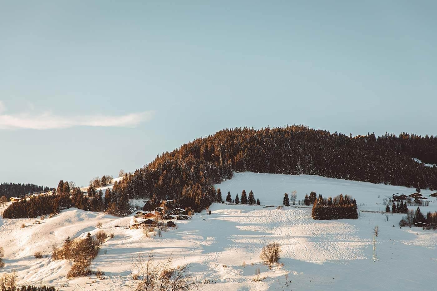 A snowy landscape with treesDescription automatically generated with low confidence