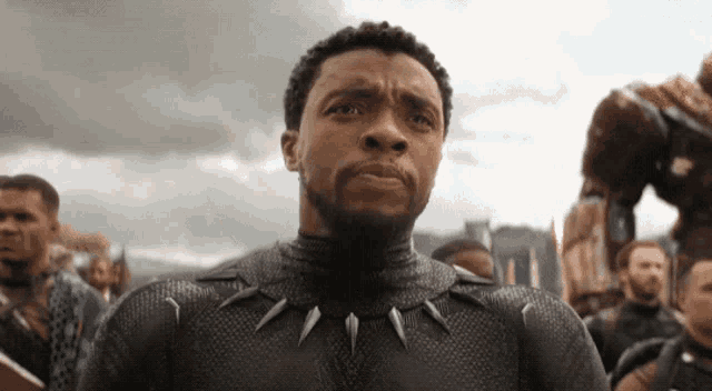 Wakanda Panther GIF - Wakanda Panther Sign Language GIFs