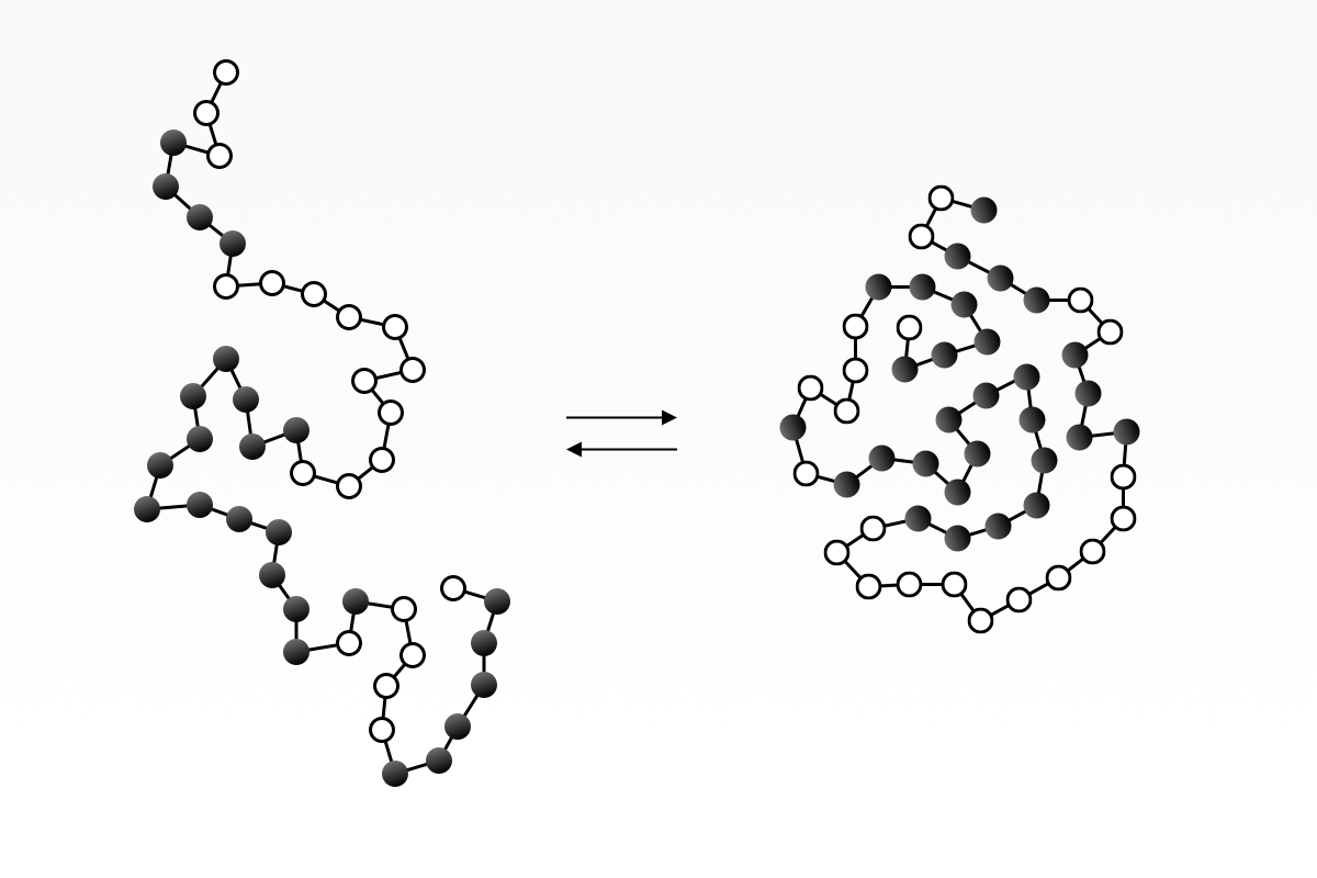 Unfolded v.s. folded protein