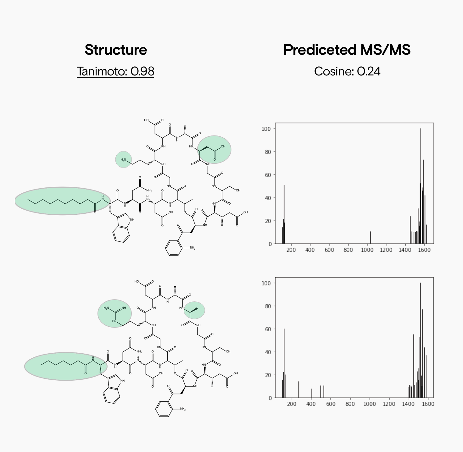 Two cyclic peptides are shown on the right with three minor structural changes in structure highlighted with green circles. Each compound’s predicted fragmentation patterns are shown on the right. A Tanimoto score of 0.98 is shown above the structures, and the cosine score of 0.24 is shown above the spectra.