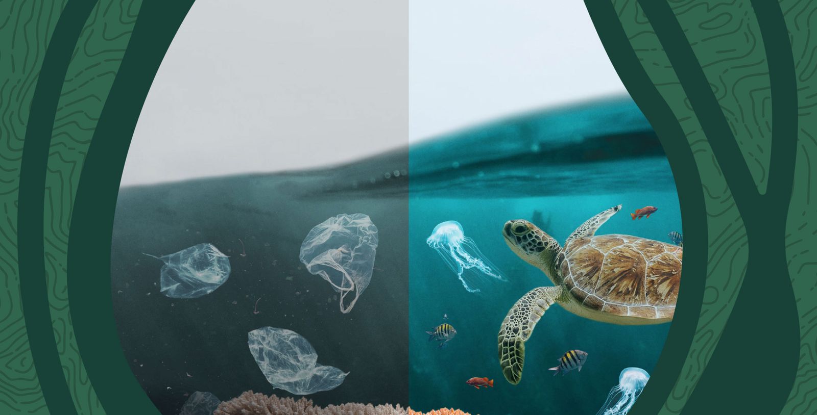 Seaman Paper launches "Sea the Difference" ocean initiative