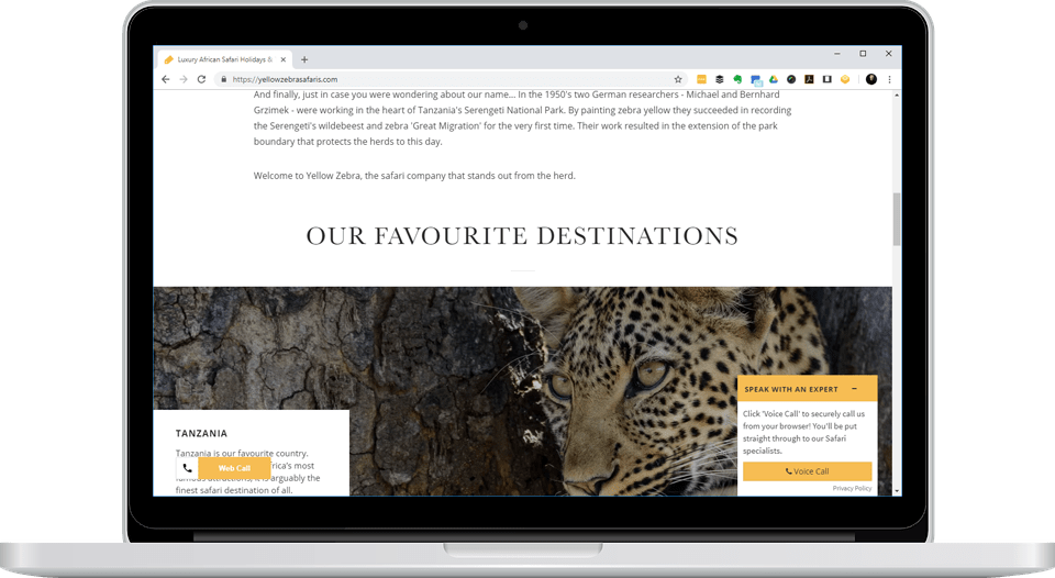 YellowZebra on laptop screen