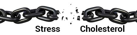 break the chain reaction of stress and elevated cholesterol