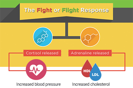 fight or flight response increase cortisol which affects cholesterol and blood pressure