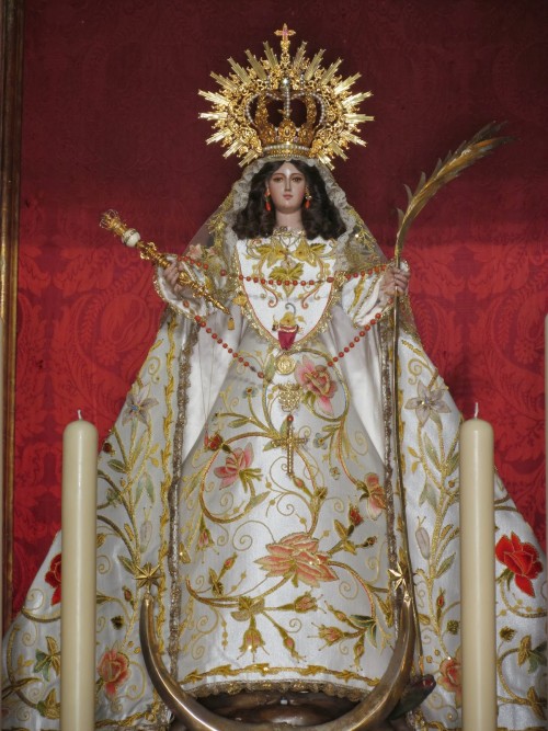 palma de cadiz