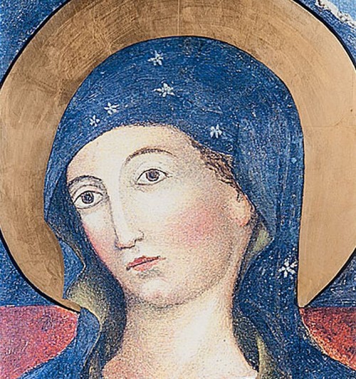 ns del pozzo