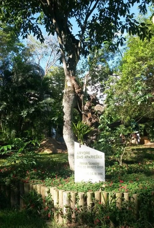 arbol de apariciones