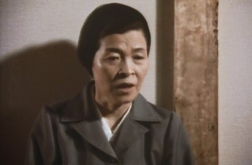 vidente-de-akita-500x327