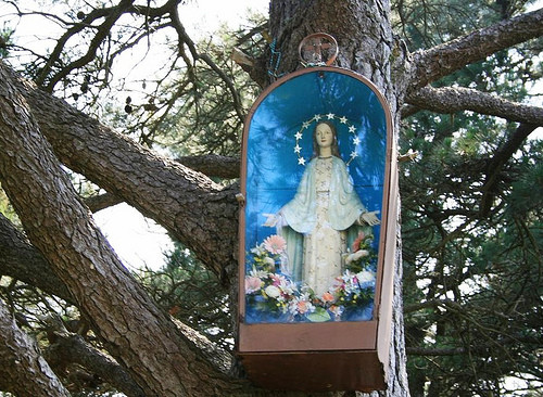 virgen de garabandal en arbol