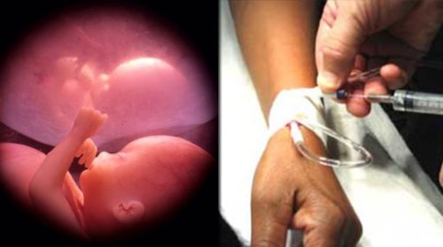 el-aborto-la-eutanasia-y
